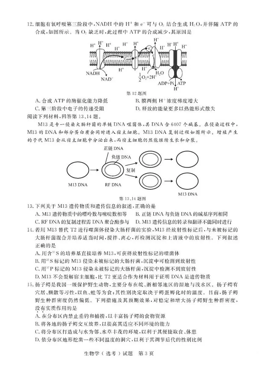 2026年1月浙江省普通高校招生选考科目考试生物学试题(含答案)第3页