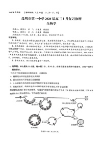 云南省昆明市第一中学2026届高三上学期1月复习诊断（第六次联考)生物试卷