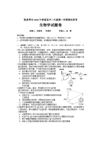湖南省张家界市2023-2024学年高二上学期期末考试生物 含答案