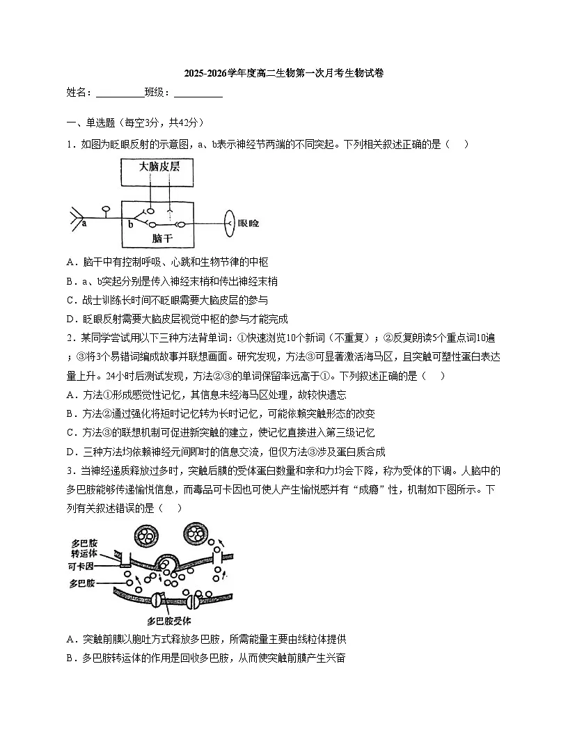 天津市武清区杨村第四中学2025_2026学年高二上学期第一次月考生物试卷(文字版,含答案)第1页