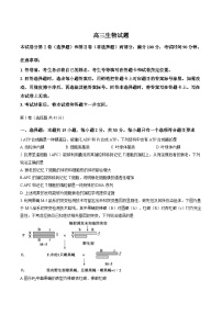 山东省德州市2025-2026学年上学期高三期末生物试卷（含答案）