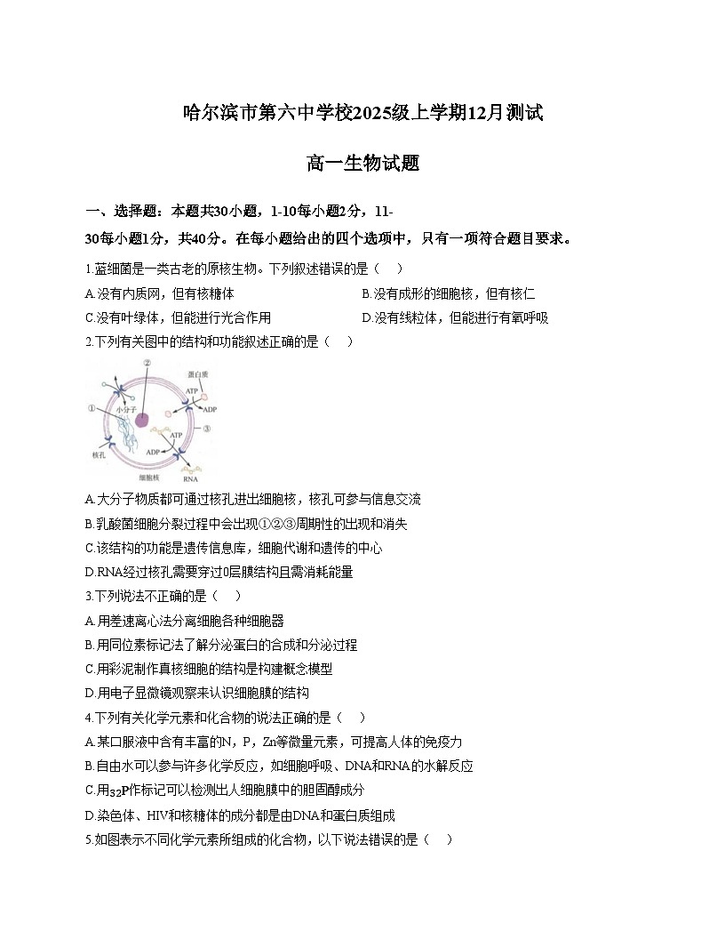黑龙江省哈尔滨市第六中学校2025_2026学年高一上学期12月月考生物试题(文字版,含答案)第1页