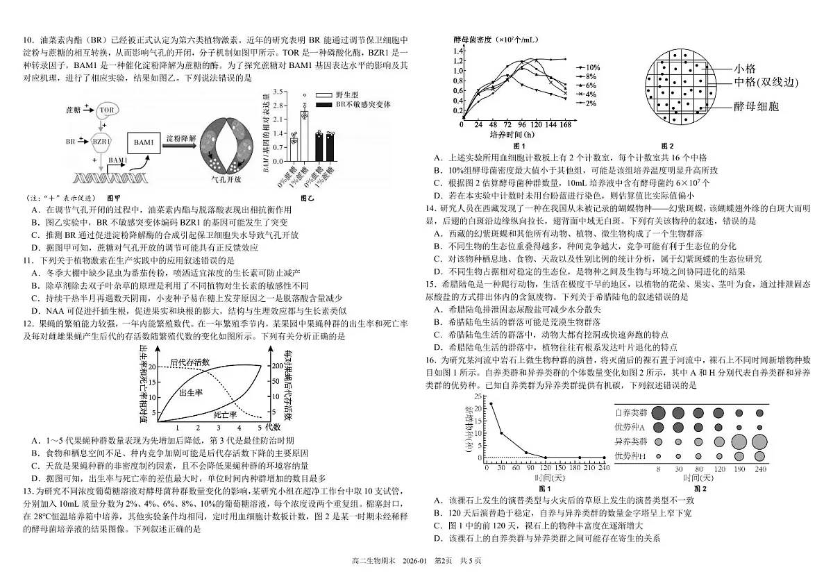 四川省成都市树德中学2025-2026学年高二上学期期末考试生物试卷(PDF版附答案)第2页