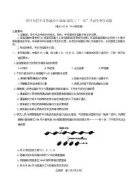 2026届四川省巴中市普通高中高三“一诊”考试生物学试题（含答案）