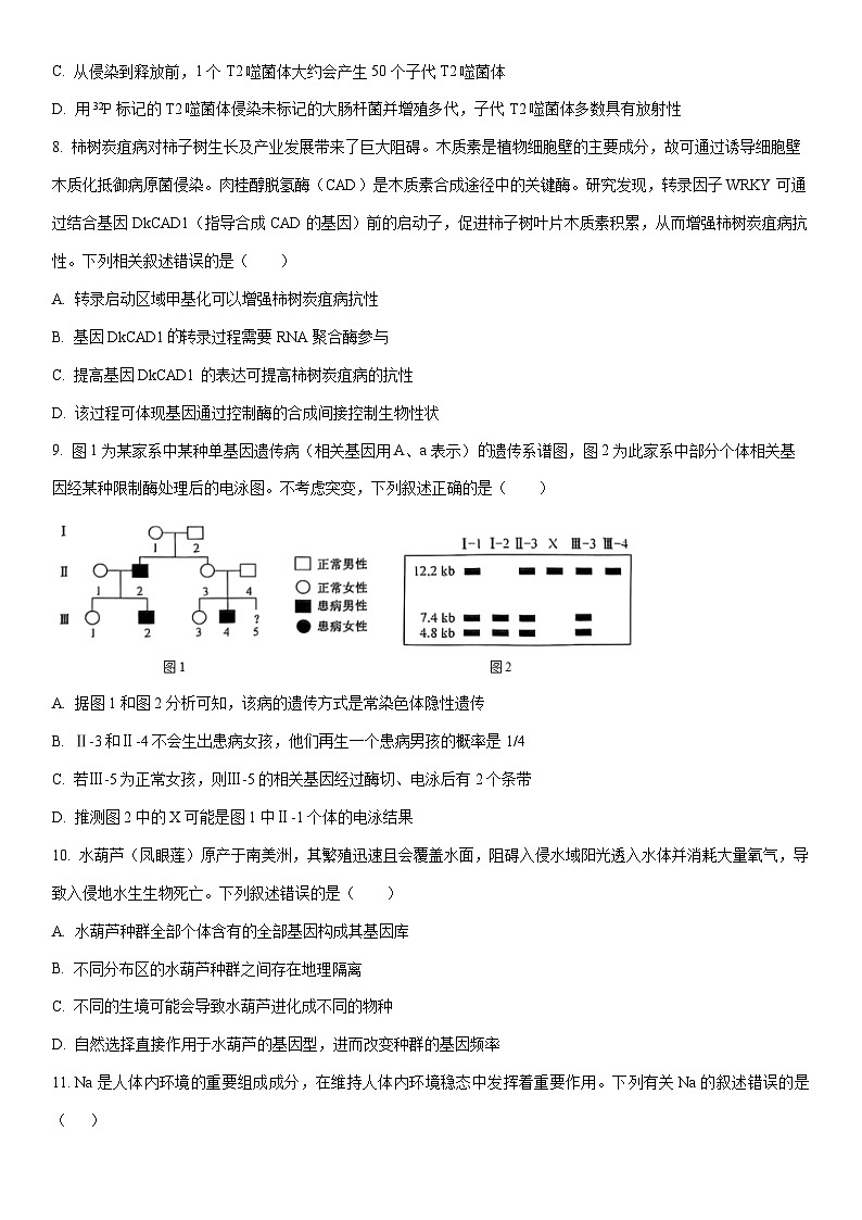 2025-2026学年黑龙江省齐齐哈尔市高三上学期期末生物试卷(学生版)第3页