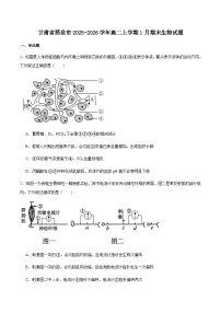甘肃省酒泉市普通高中2025-2026学年高二上学期1月期末考试生物试卷（含答案）