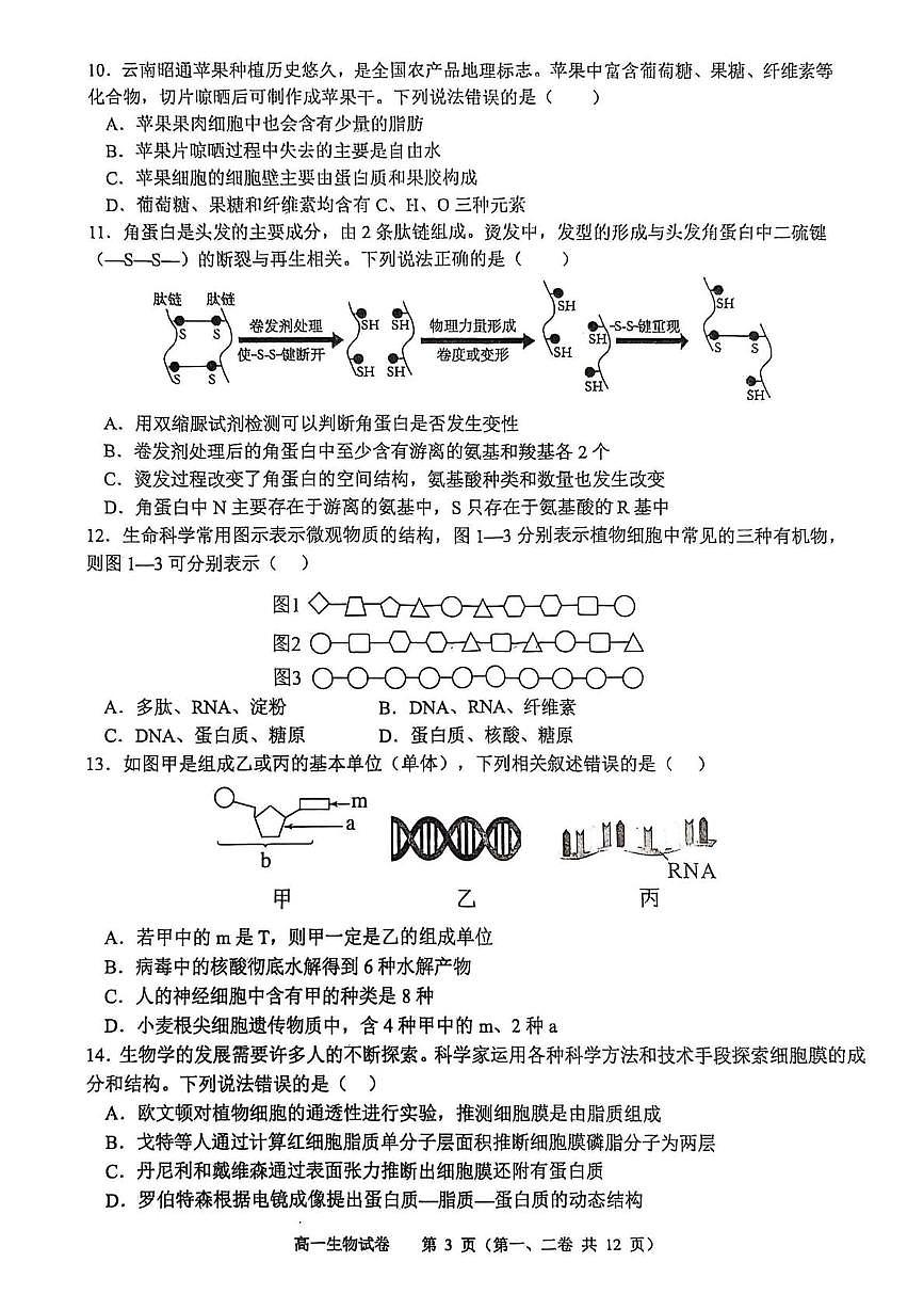 广东省深圳实验学校高中园2025-2026学年度第一学期三段考高一生物学(月考)第3页