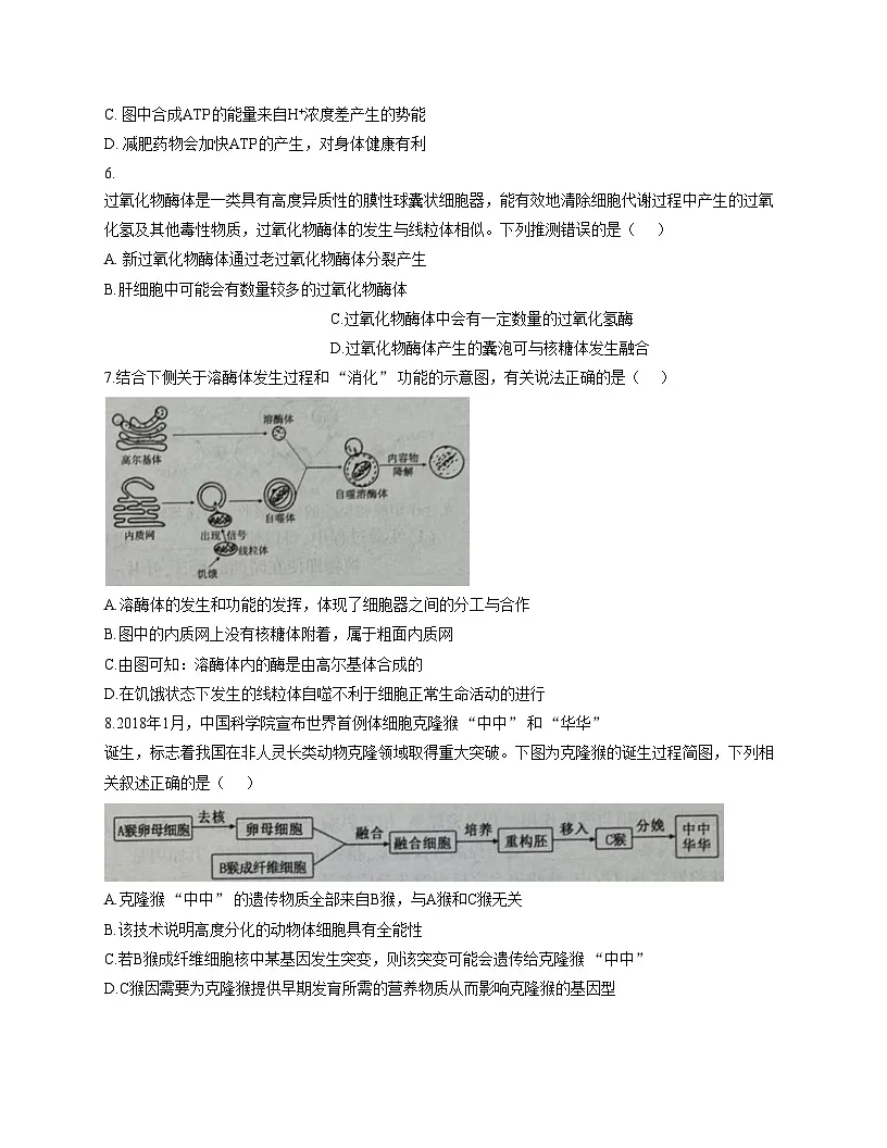 河北唐山市迁安市2025_2026学年高三上学期第二次诊断考试生物试题(文字版,含答案)第3页