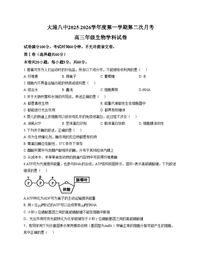 天津市滨海新区大港第八中学2025_2026学年高三上学期第二次月考生物试卷(文字版,含答案)第1页