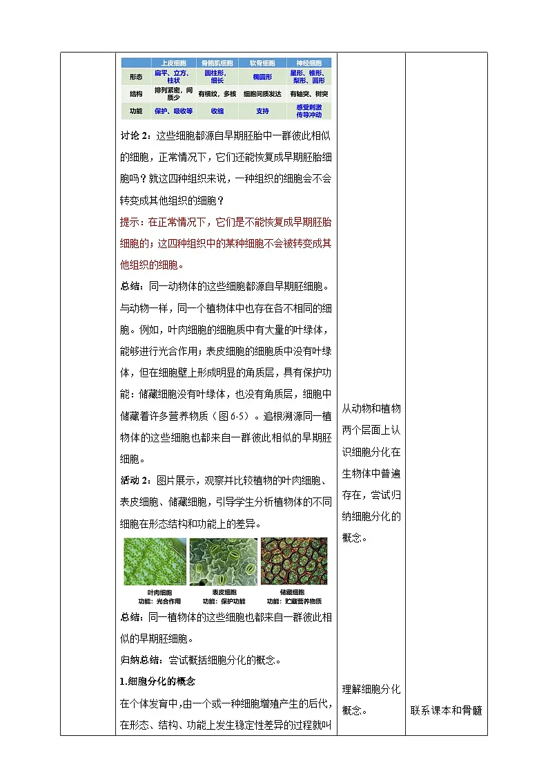 6.2 细胞的分化-教学设计--2025-2026学年高一上学期《生物》(人教版)必修1第3页