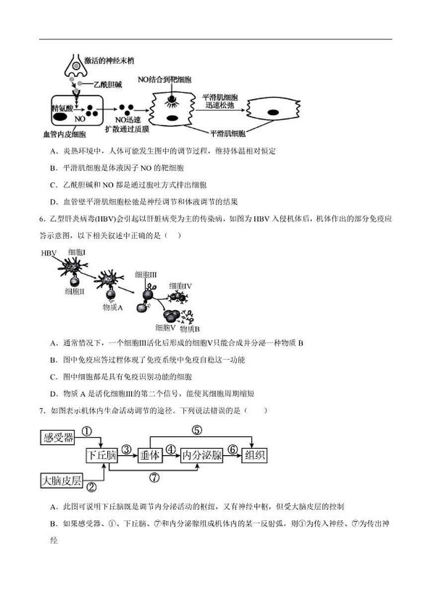 2025-2026学年新疆喀什地区疏勒县高二上学期期末质量监测生物试卷(含答案)第2页