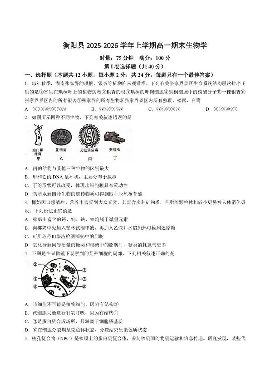 2025-2026学年湖南省衡阳市衡阳县高一上学期期末生物试卷(含答案)第1页