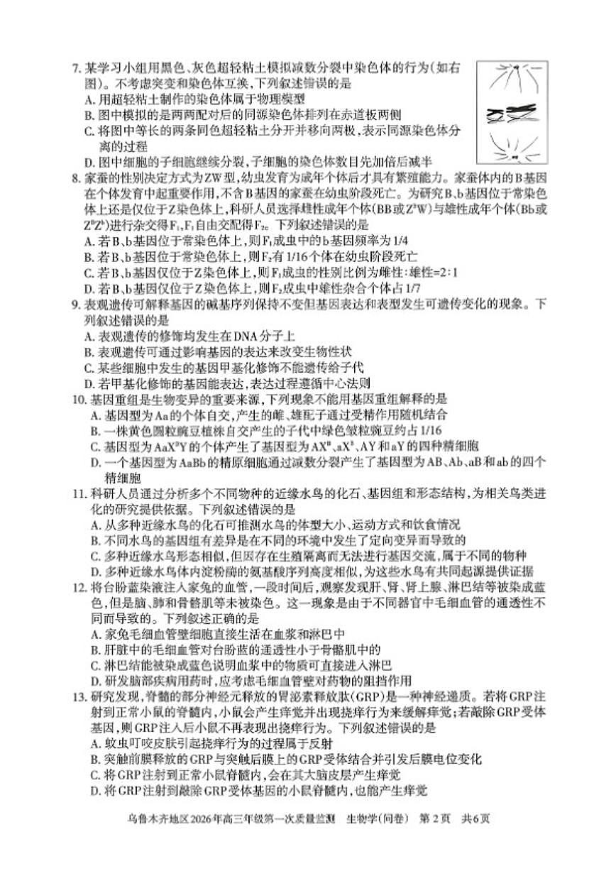 新疆乌鲁木齐地区2026年高三年级上第一次质量监测生物试卷(含答案)第2页