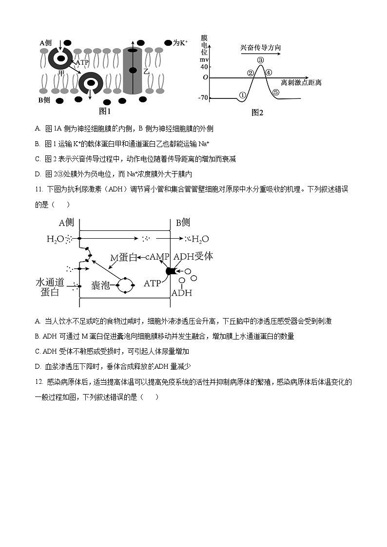 黑龙江省绥化市绥棱县第一中学2024-2025学年高二上学期9月月考生物试题 Word版无答案第3页