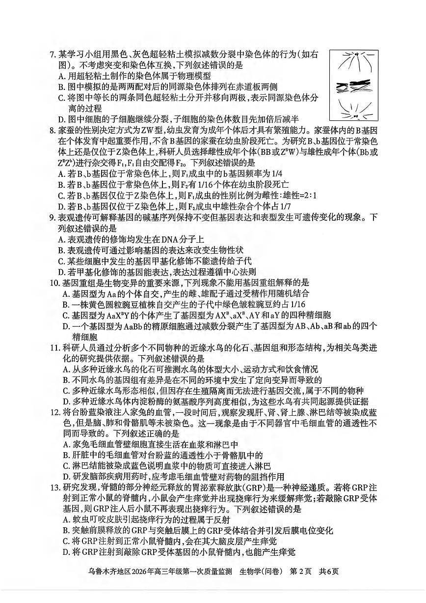 生物丨新疆乌鲁木齐地区2026届高三上学期2月第一次质量监测试卷及答案第2页