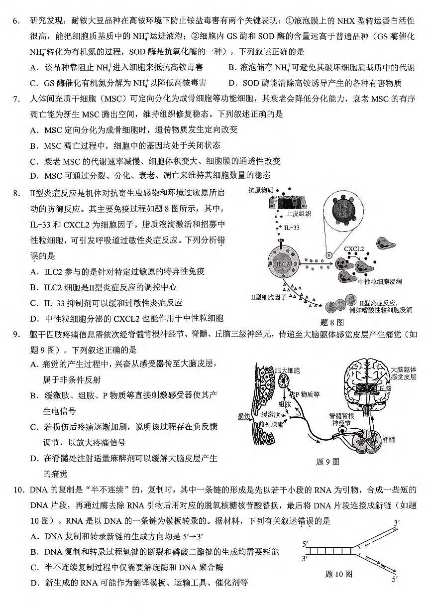 生物丨重庆市2026届高三上学期2月(康德一诊)考试试卷及答案第2页
