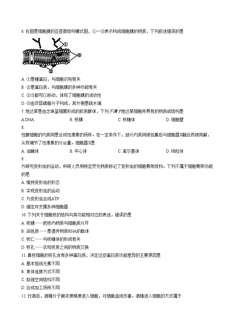 北京市第九中学2025_2026学年高一上学期期末生物试卷(扫描版,含答案)第3页