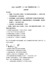 河南省天一大联考2025_2026学年高三上学期12月月考生物试题（文字版，含答案）