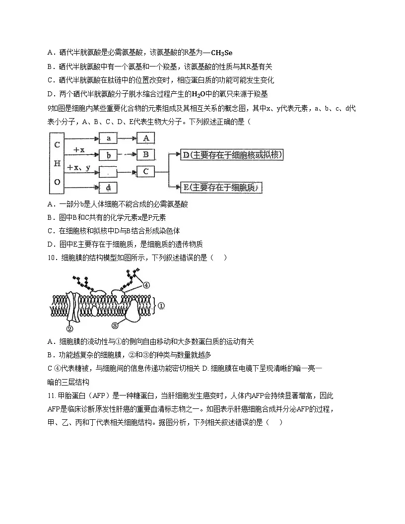 吉林省长春市文理高中2025_2026学年高一上学期12月期中生物试题(文字版,含答案)第3页