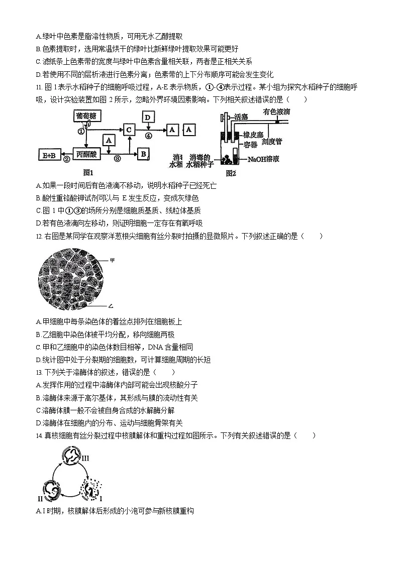 内蒙古赤峰市松山区2025-2026学年高一上学期期末生物试题第3页