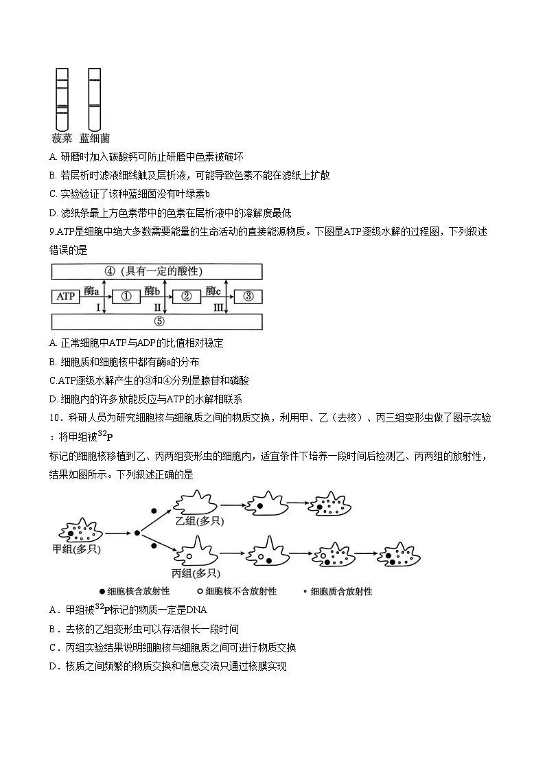 湖南永州市2025_2026学年高一上学期期末考试生物试题(文字版,含答案)第3页