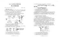 湖北武汉市武昌区湖北省武昌实验中学2025-2026学年高二上学期2月期末生物试题