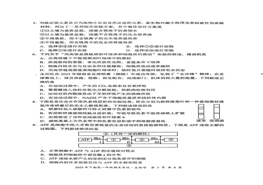 湖南永州市2025-2026学年高一上学期期末考试生物试题第2页
