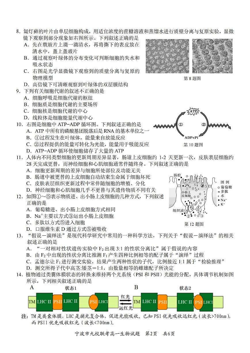 生物-浙江宁波九校联盟2025学年高一第一学期期末联考试卷及答案第2页