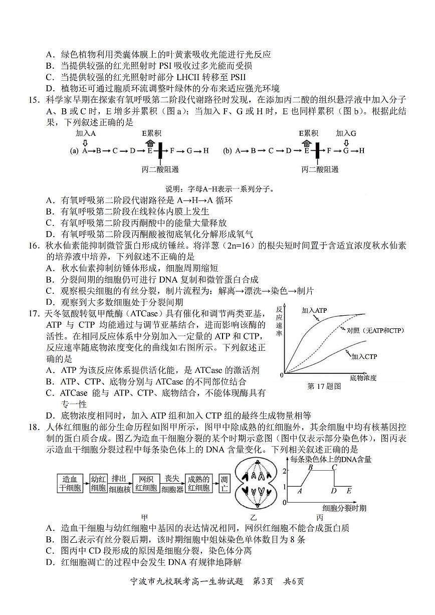 生物-浙江宁波九校联盟2025学年高一第一学期期末联考试卷及答案第3页