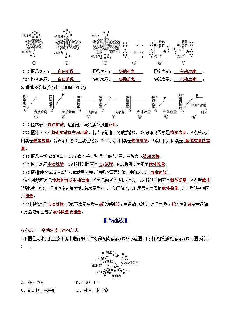 4.2 主动运输与胞吞、胞吐(课后练习)---2025-2026学年高一上学期《生物》(人教版)必修1第2页