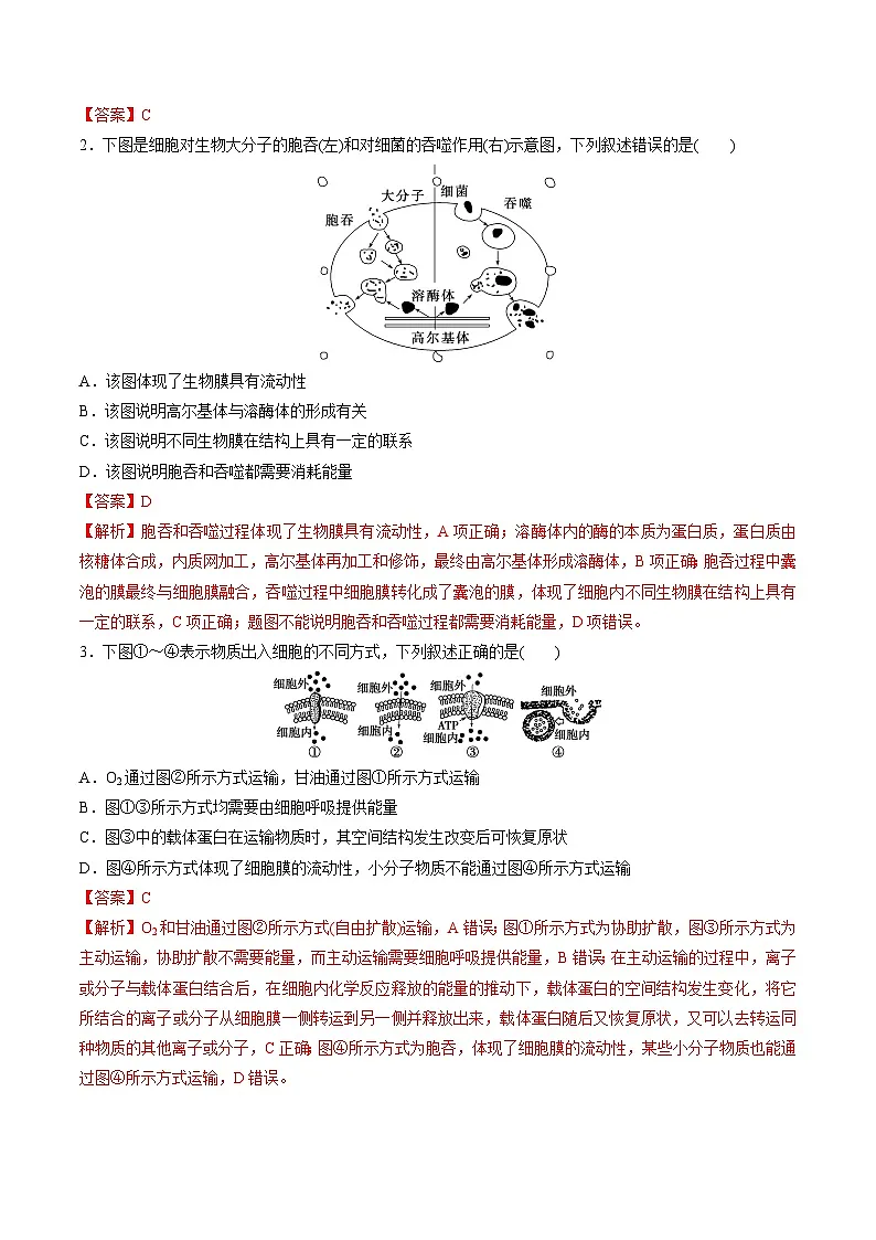 4.2 主动运输与胞吞、胞吐(课后练习)---2025-2026学年高一上学期《生物》(人教版)必修1第3页
