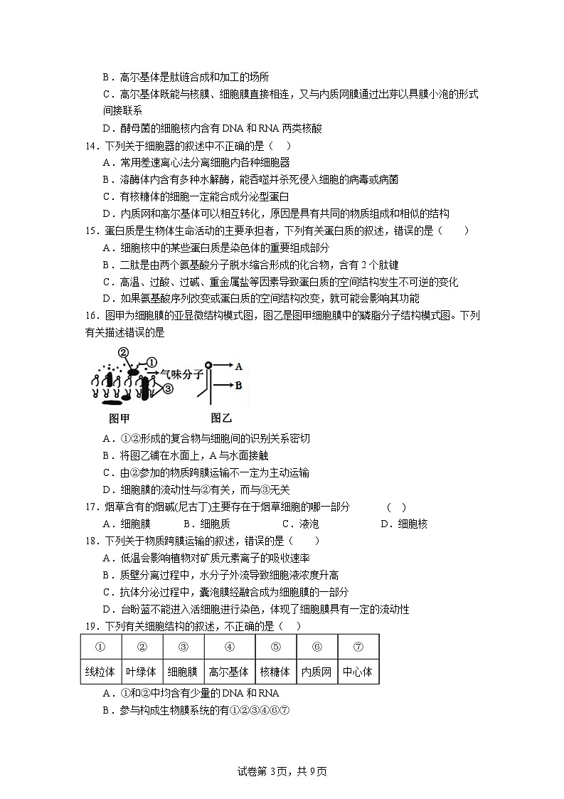 石嘴山市第一中学2025-2026学年高一上学期1月月考生物试卷第3页