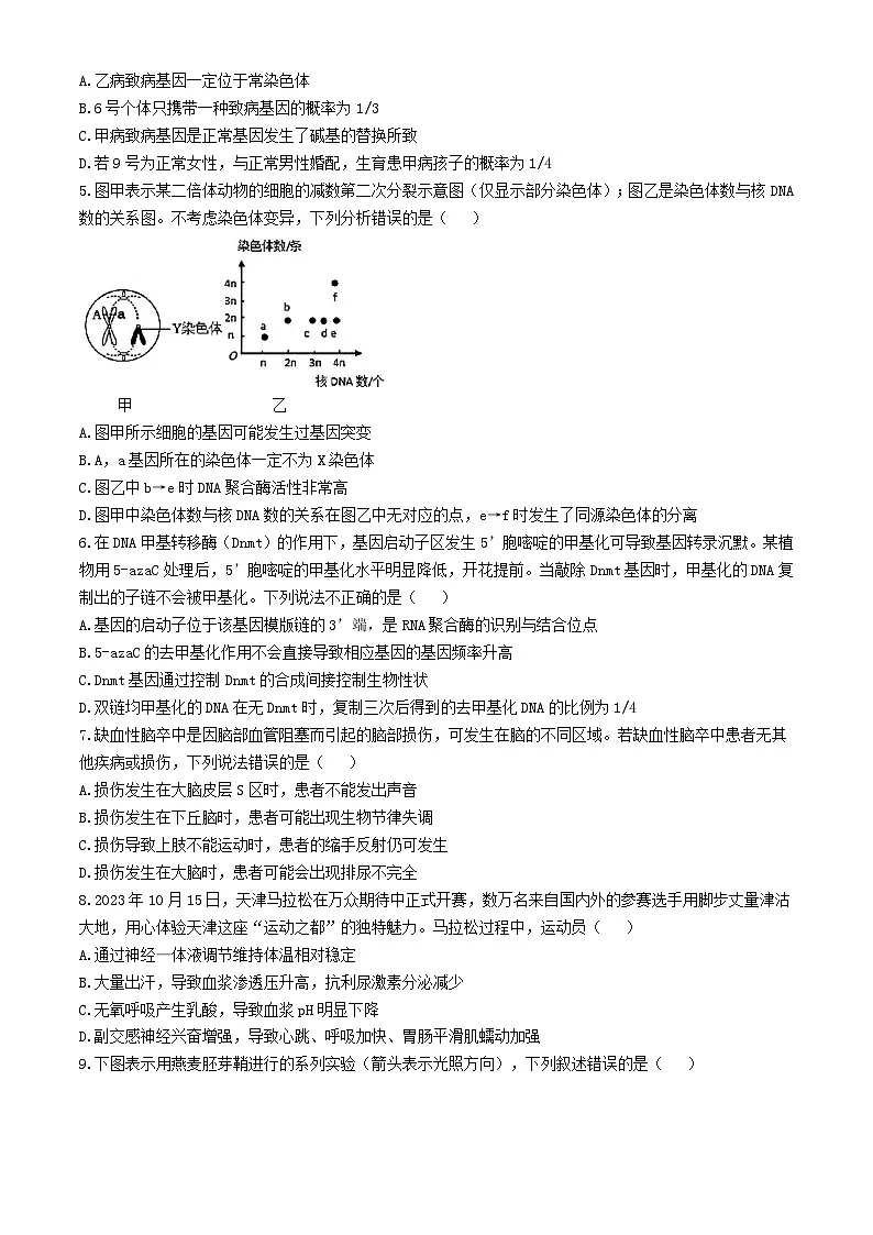 天津市2024_205学年高三生物上学期第二次月考试题第2页