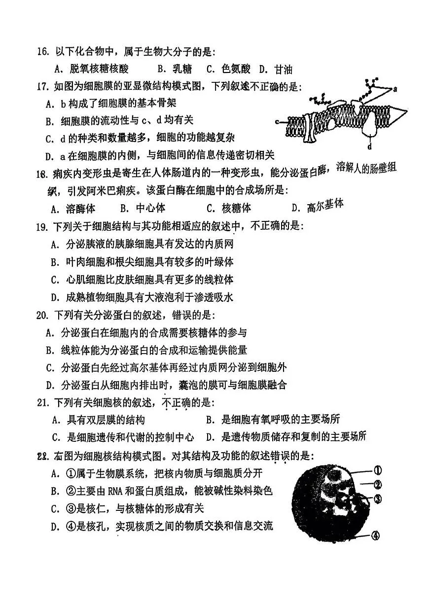 2025-2026学年北京市第一零九中学高一上学期期中生物(无答案)试卷第3页