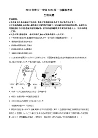 2026届重庆市重庆市沙坪坝区重庆市第一中学校高三一模生物试题（原卷+解析）