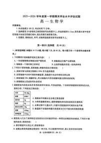 陕西渭南市大荔县2025—2026学年度第一学期期末学业水平评估高一生物学试题