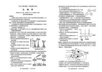 湖北黄冈市2025-2026学年高二年级上学期期末考试生物学试题