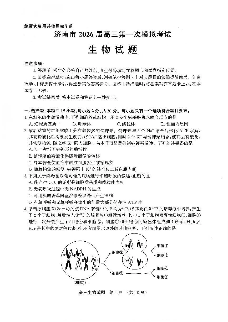 济南市2026届高三第一次高考模拟考试生物试卷+答案第1页