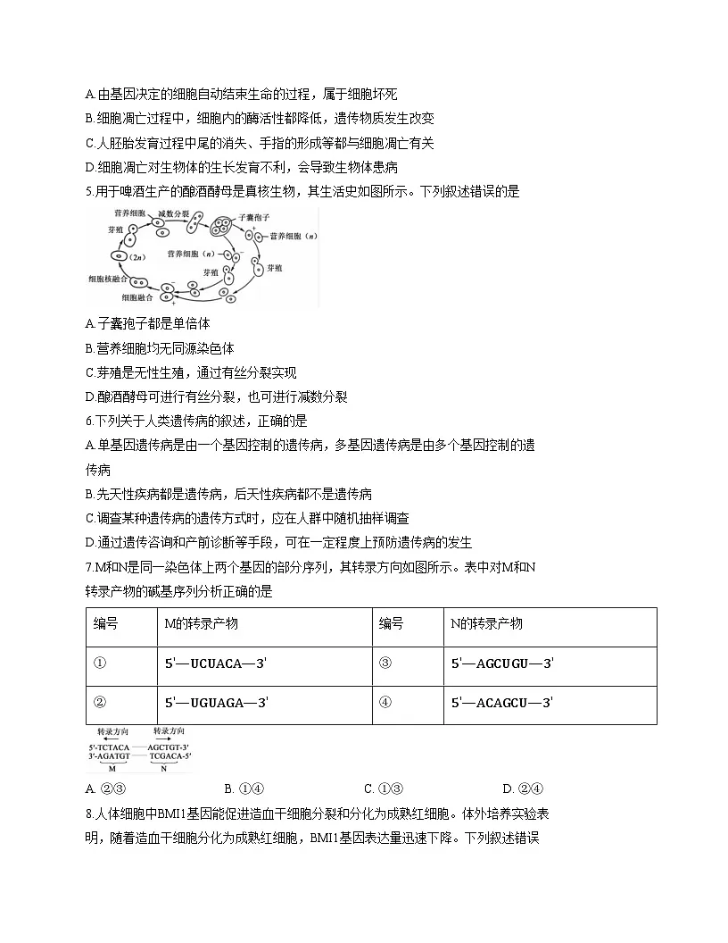 内蒙古、黑龙江、辽宁省2025_2026学年高三上学期9月开学联考生物试卷(文字版,含答案)第2页