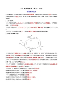 人教版 (2019)必修1《分子与细胞》细胞的能量“货币”ATP同步测试题