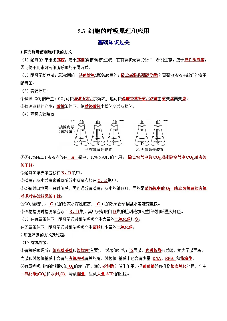 5.3 细胞呼吸的原理和应用(课后练习)---2025-2026学年高一上学期《生物》(人教版)必修1第1页