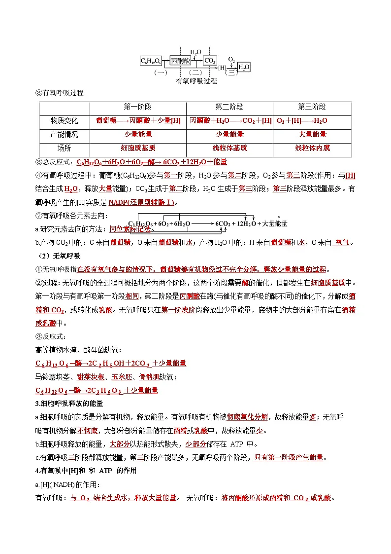 5.3 细胞呼吸的原理和应用(课后练习)---2025-2026学年高一上学期《生物》(人教版)必修1第2页