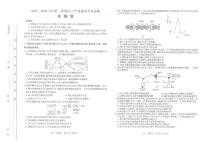 山西省太原市2025-2026学年高三上学期期末生物试卷(含答案)
