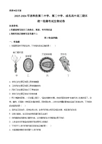 甘肃省陇南市西和县期末联考2025-2026学年高三上学期1月期末生物试题（试卷+解析）