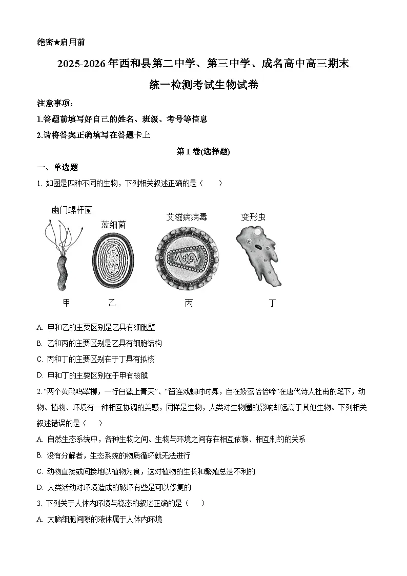甘肃省陇南市西和县期末联考2025-2026学年高三上学期1月期末生物试题(试卷+解析)第1页