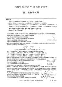 河北省保定市六校2024-2025学年高二上学期11月期中生物试题（含答案）
