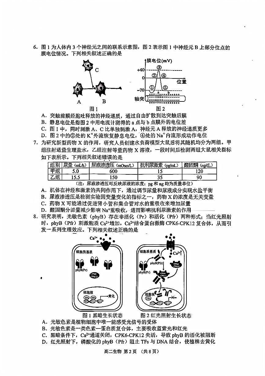 生物-江苏省苏州市2025-2026学年度第一学期高二年级期末试卷及答案第2页