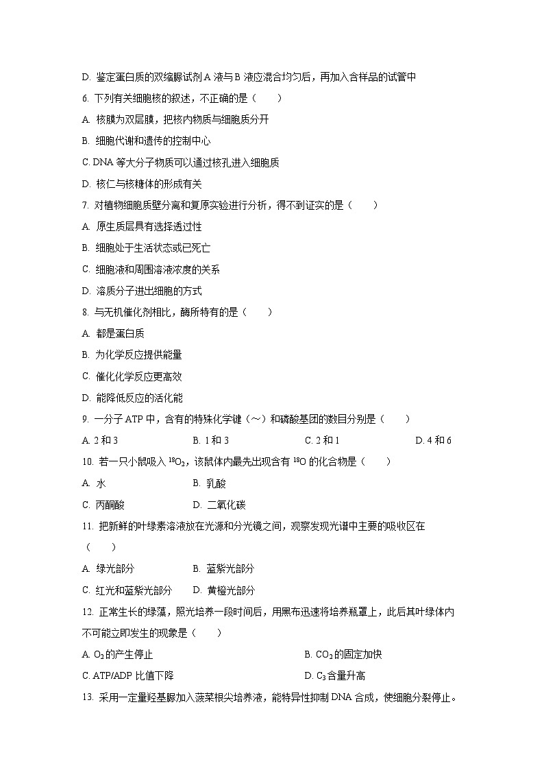 北京市海淀区2024-2025学年高一上学期1月期末考试生物试题(Word解析版)第2页