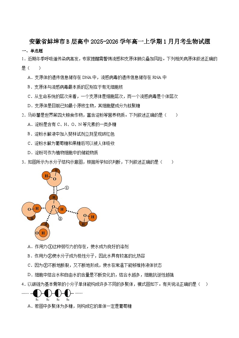 安徽省芜湖市重点高中2025-2026学年高一上学期1月月考试题 生物(含答案)第1页