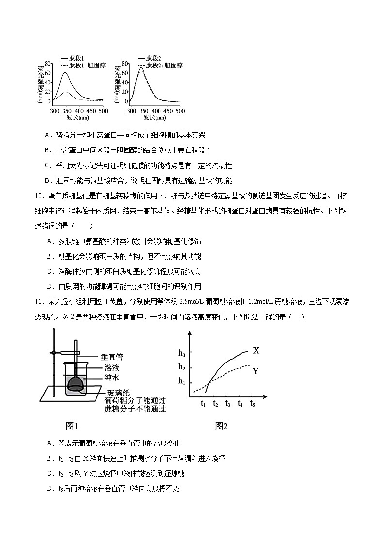 安徽省芜湖市重点高中2025-2026学年高一上学期1月月考试题 生物(含答案)第3页